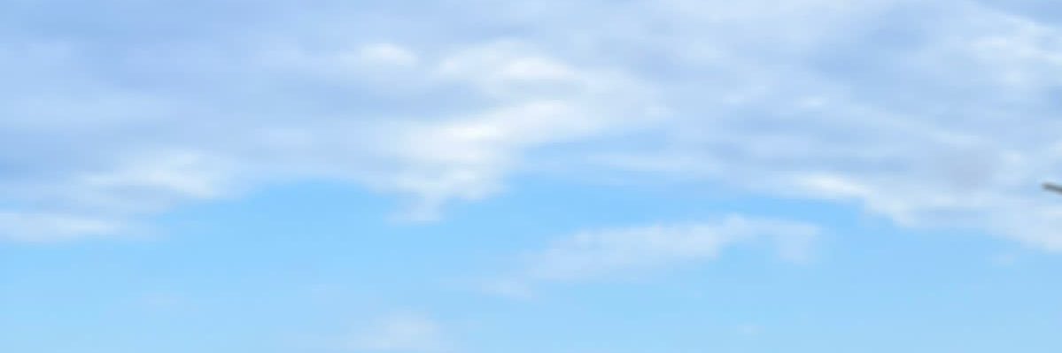 Alexiacarolinag's profile banner image