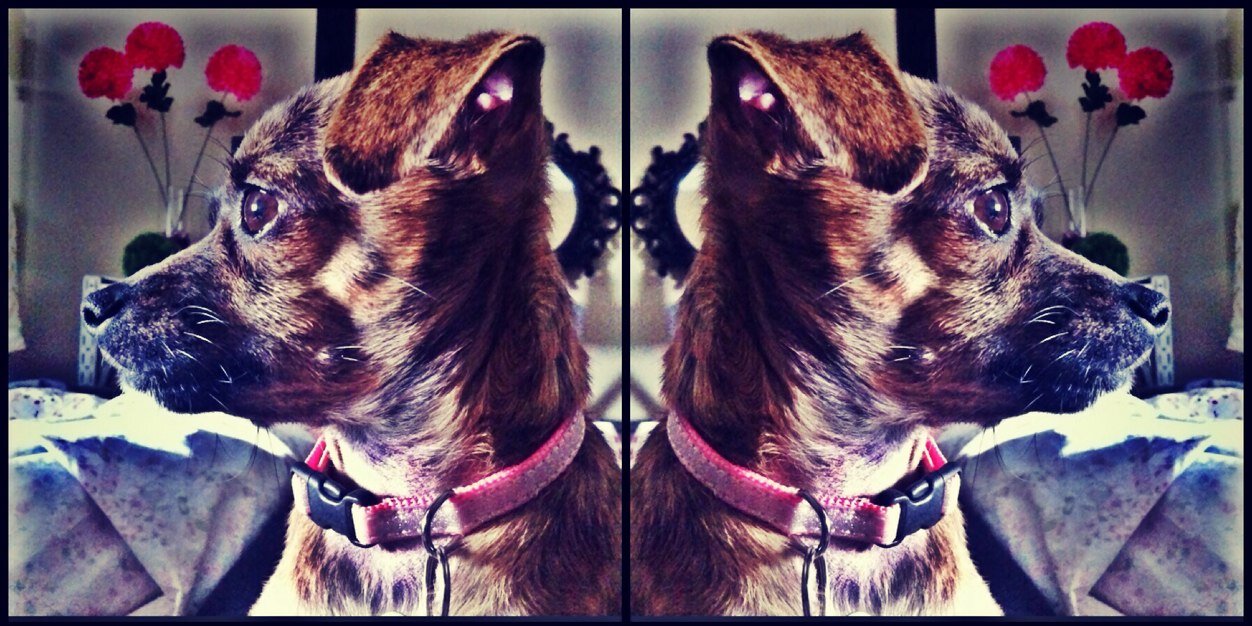breespect's profile banner image