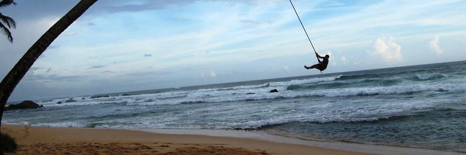 Andrew Voysey banner