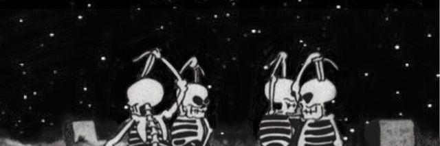 nevermind_ca's profile banner image