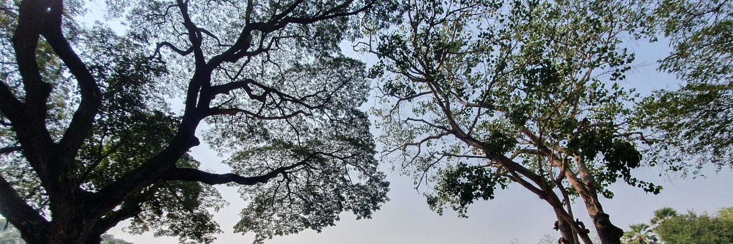 bmooh's profile banner image