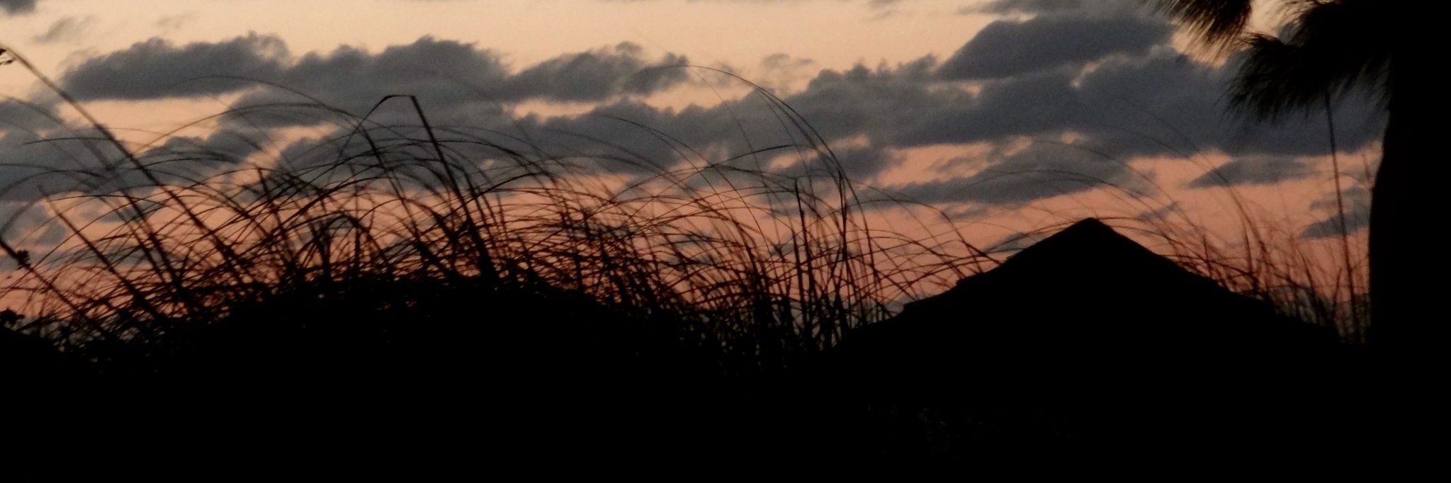 whitemd's profile banner image