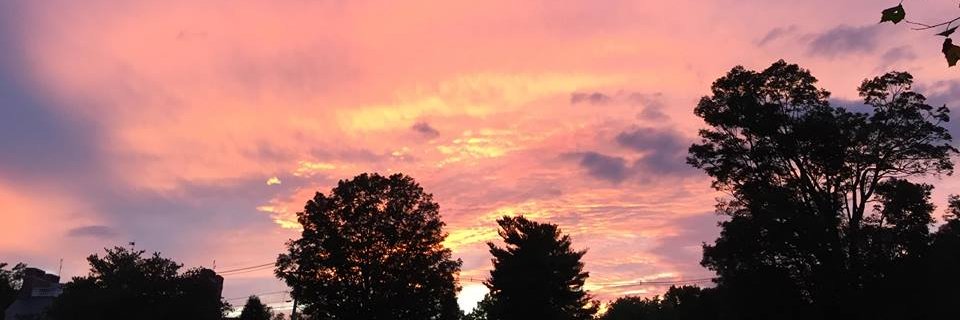 Linda Broderick banner