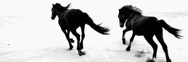 Lesego Pule🐎♠️♟️ banner