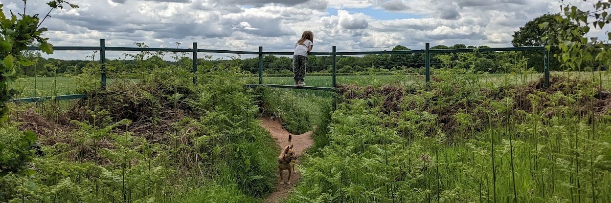 James Makes Games banner