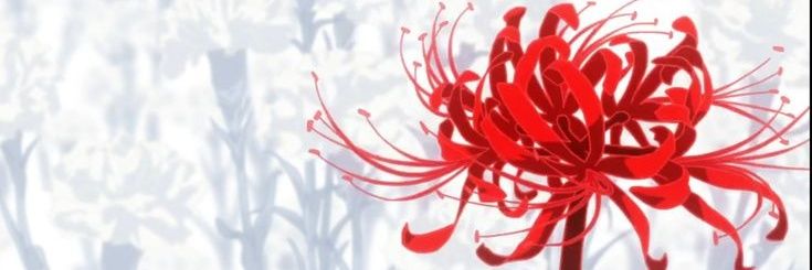 mako_moly's profile banner image