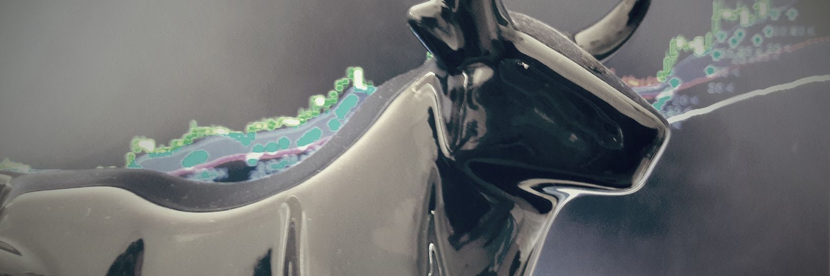 forexglp's profile banner image