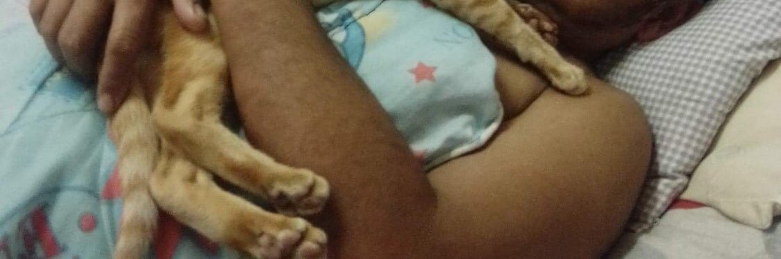 มีใว้ดู banner