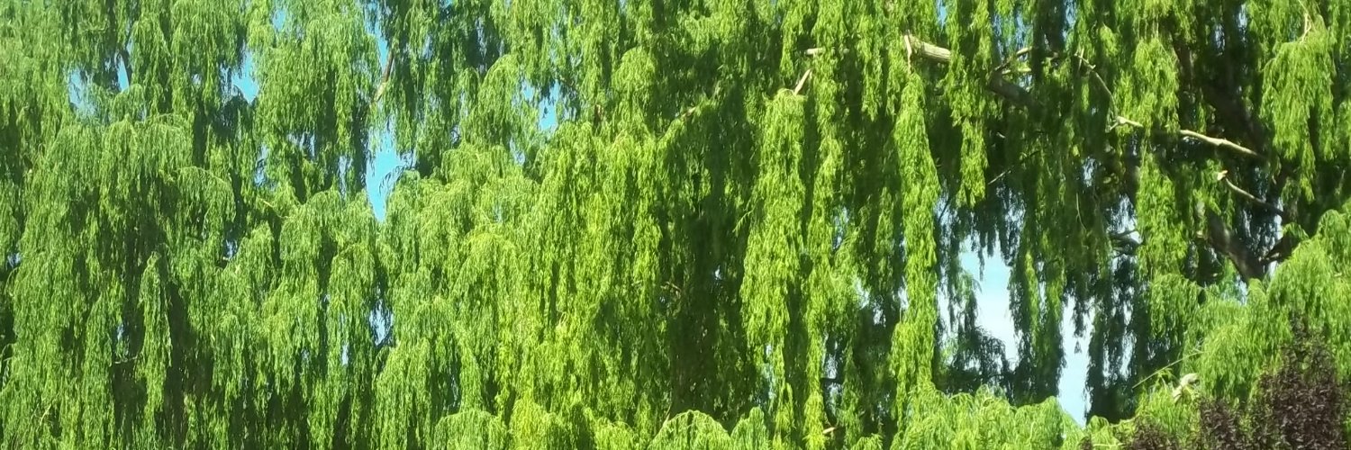 tumanastyle's profile banner image