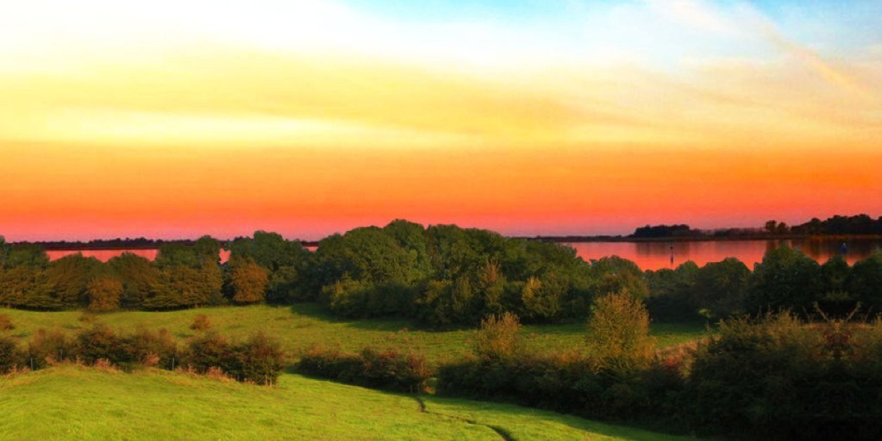 DMullert's profile banner image