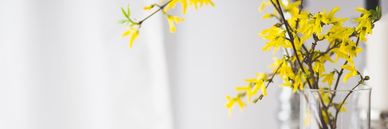 RachSortonH's profile banner image