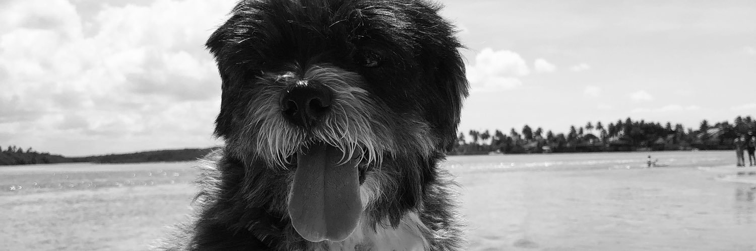 mbeatrizsales's profile banner image