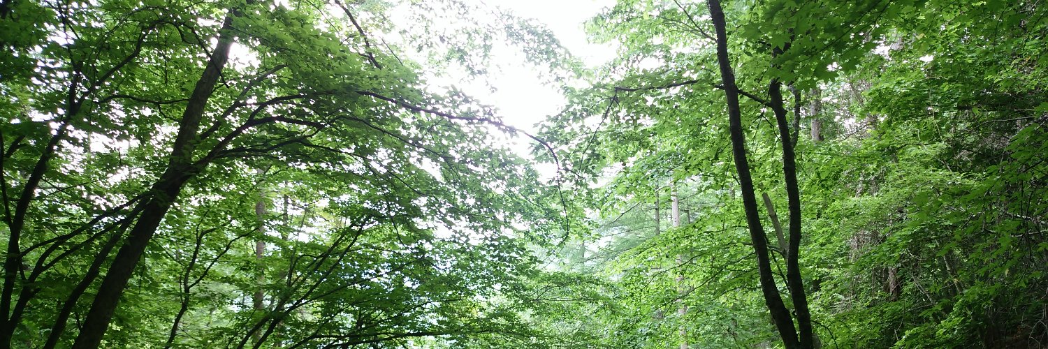 breakout630828's profile banner image