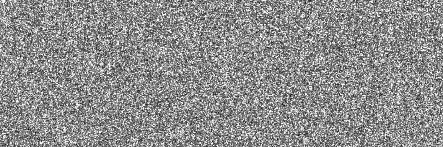 voidlizard's profile banner image