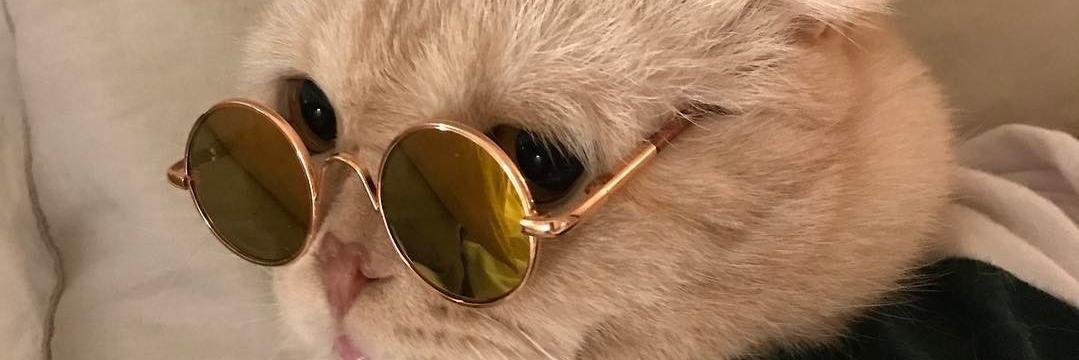 andreb407's profile banner image