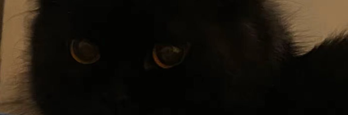whenubays4id's profile banner image