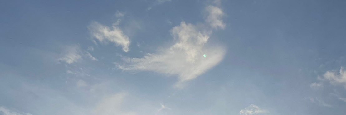 mahsaming's profile banner image