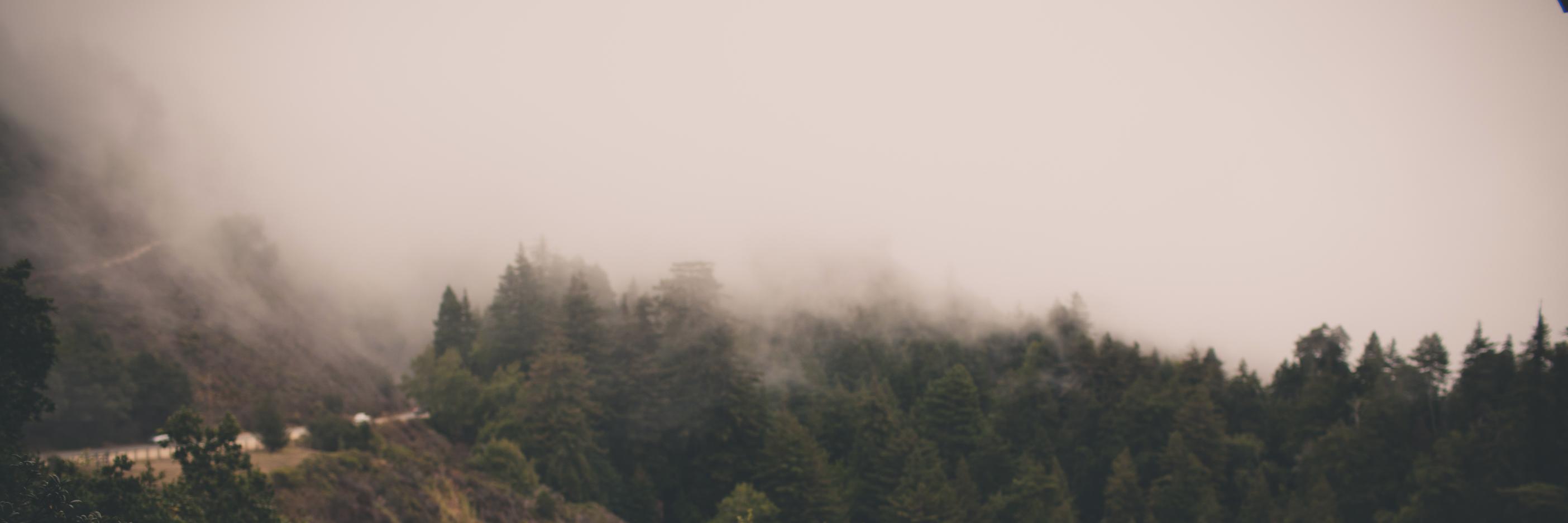 tsmillah's profile banner image