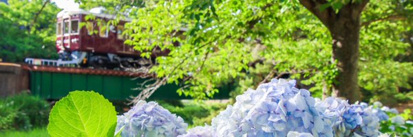 mikawa8002 Profile Banner