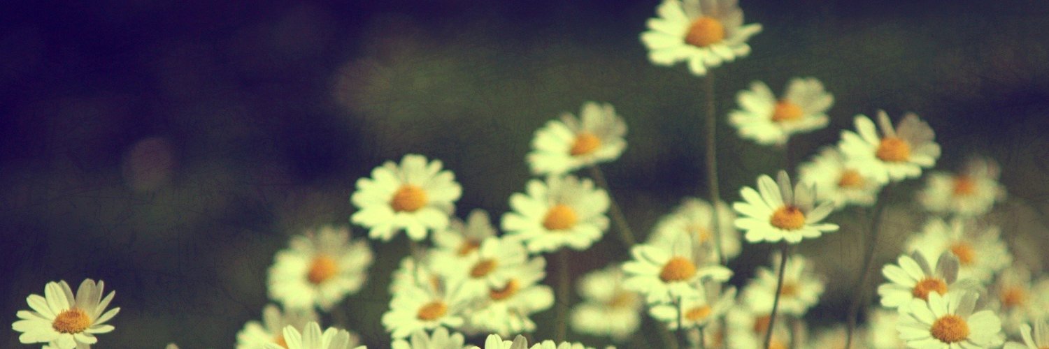 NBogdevic's profile banner image