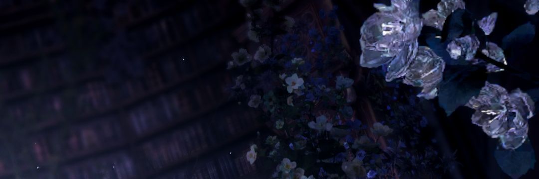 Meownim banner