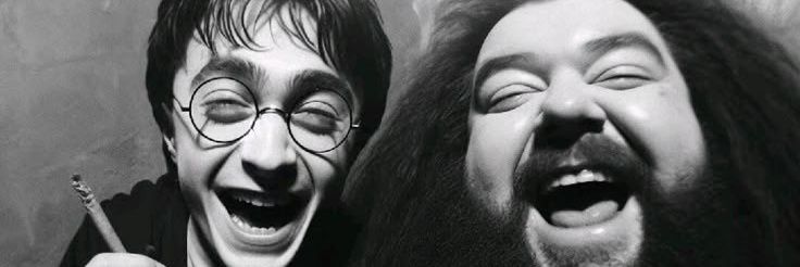nahii banner
