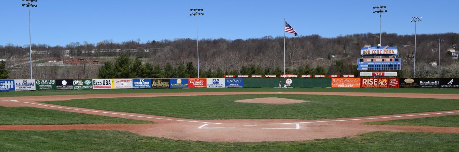 Youngstown Ursuline Baseball banner