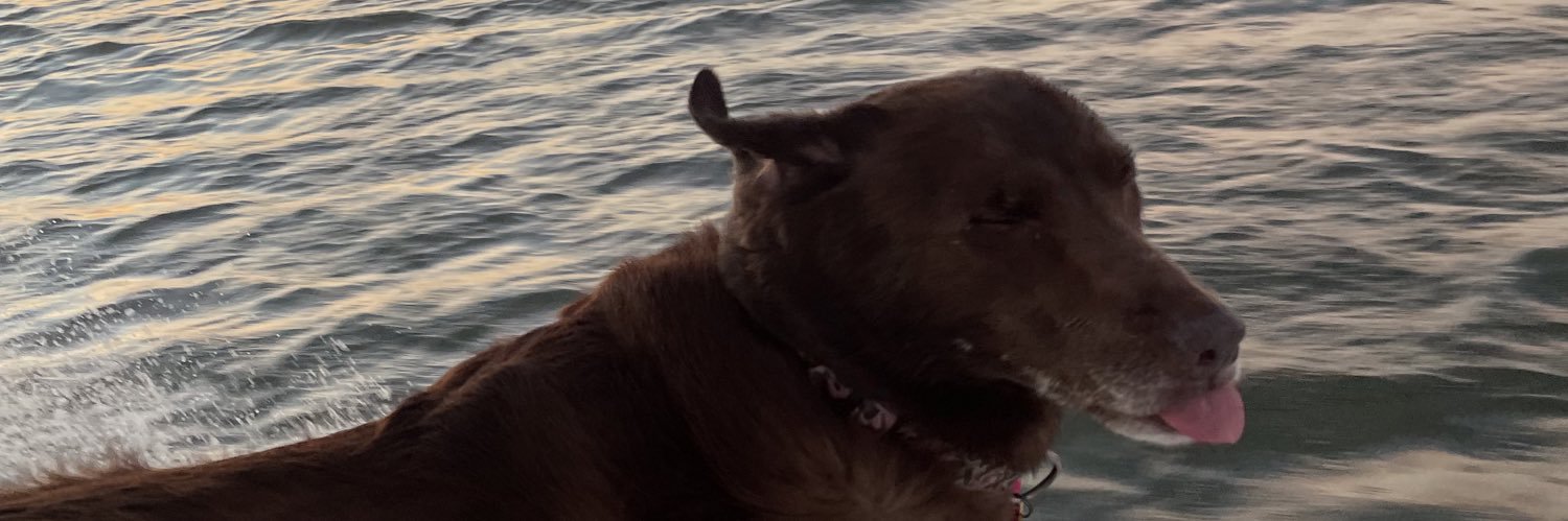 carsonlcrisp's profile banner image
