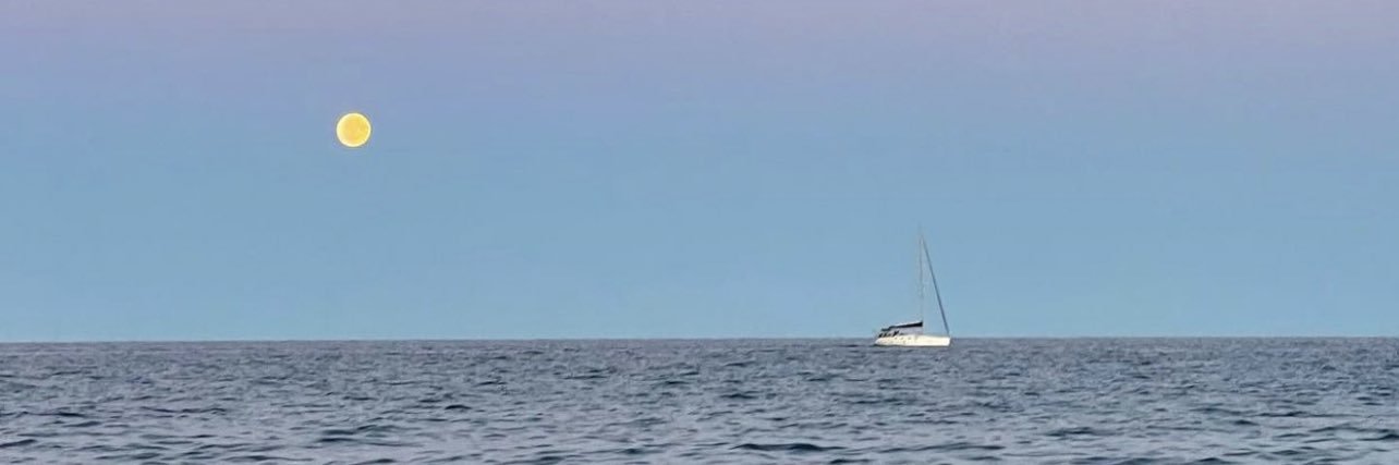 evaevuxxy banner