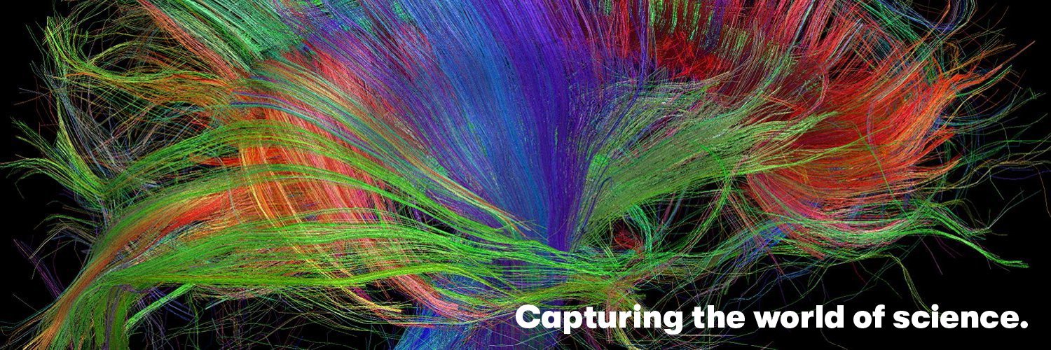 Helmholtz Imaging's banner