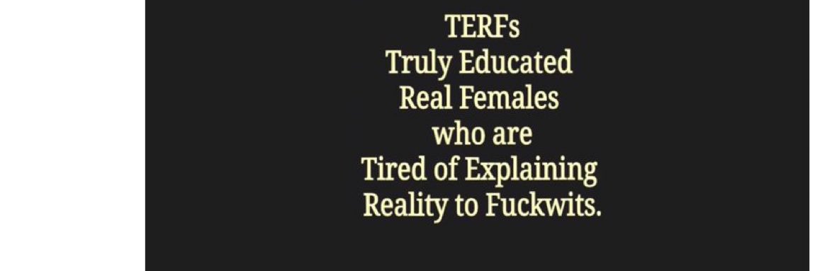 KittenBeans 🟢⚪️🟣 banner