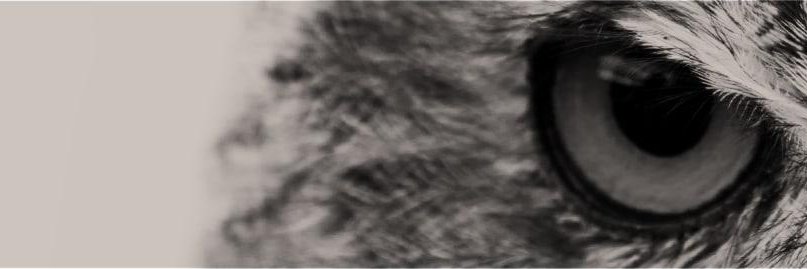 Vulseek by Securetia banner