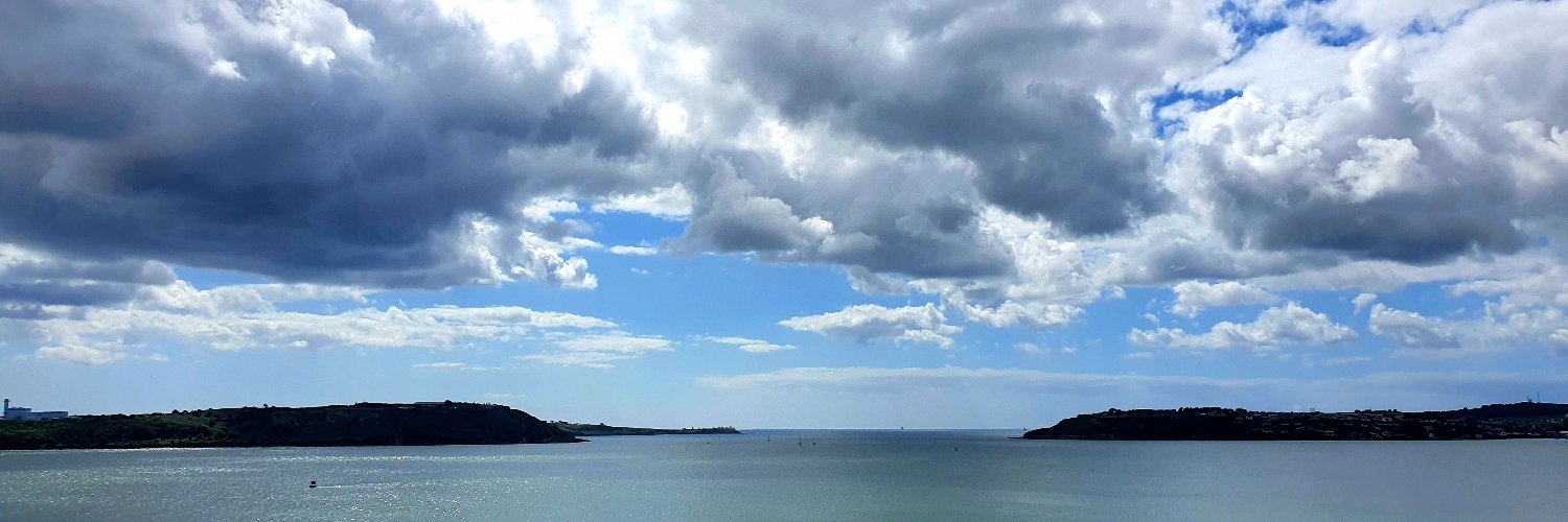 GynaeStruggle banner