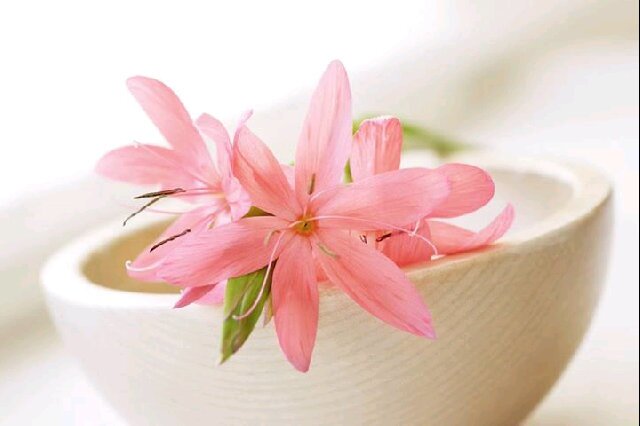 uyarahayu's profile banner image