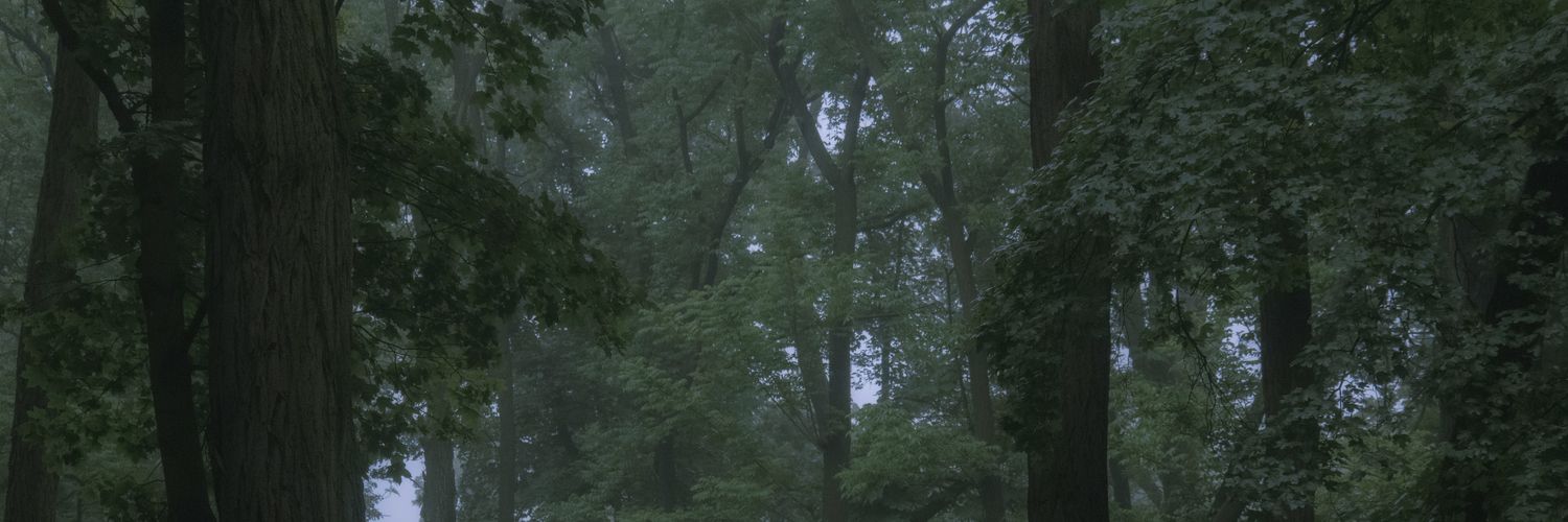 притулок демонів 📷's banner