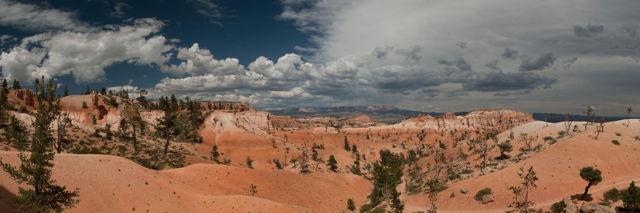 David H Stocker banner