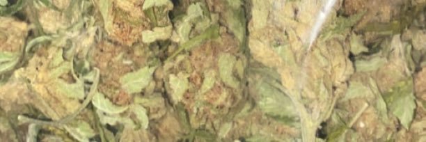 anarche84's profile banner image