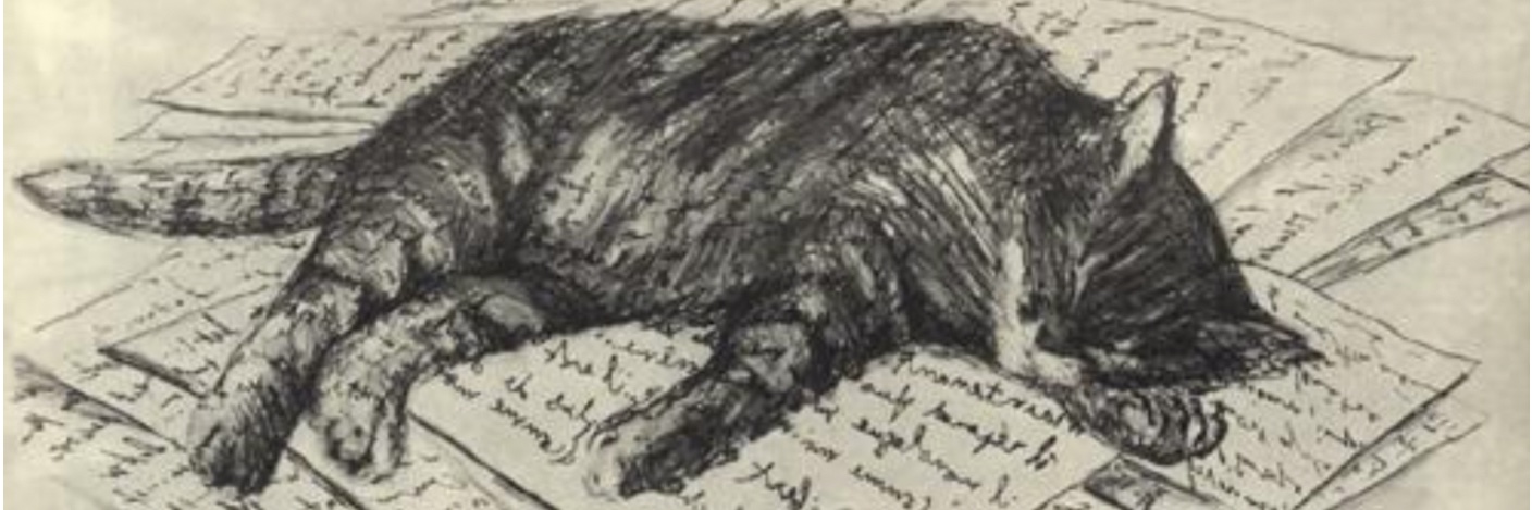 Solid Kvas🔥 banner