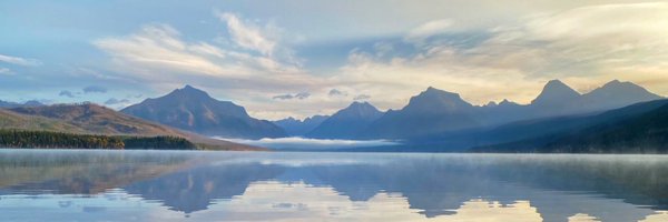 jersey_dck Profile Banner