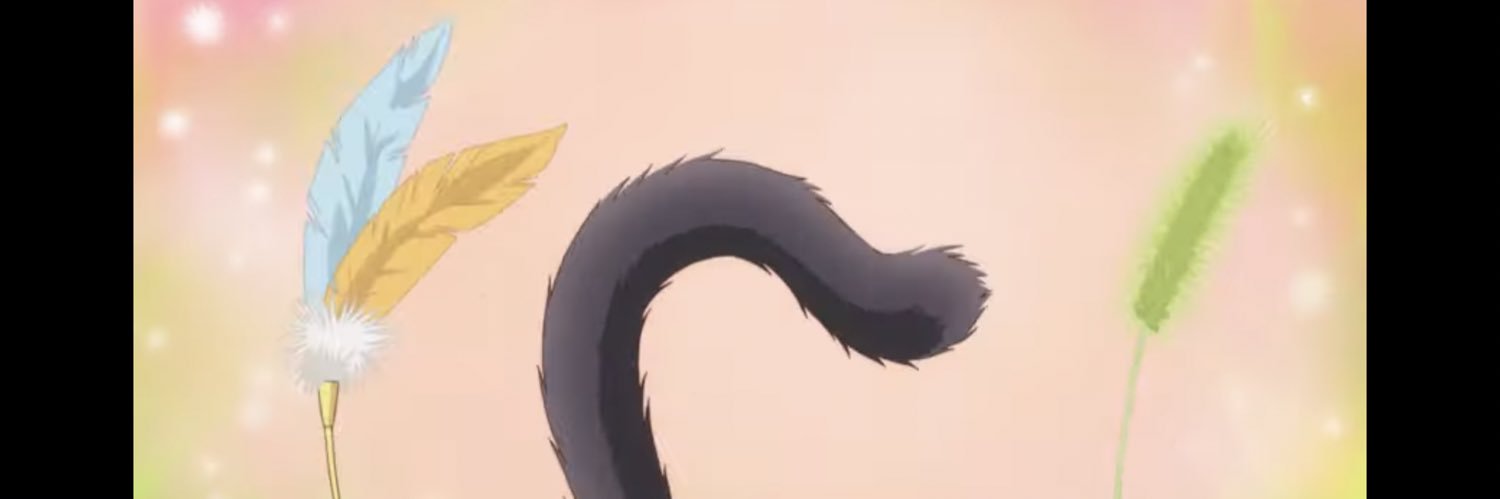 rainnibb's profile banner image