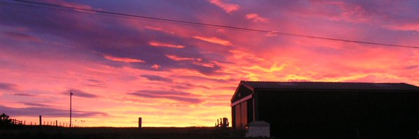 CalanMacAulay Profile Banner