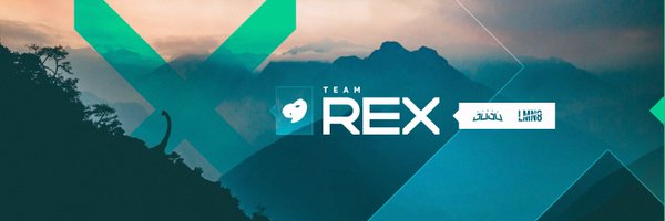 ForzaJuju Profile Banner