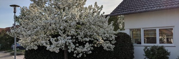 jurgenhaas Profile Banner
