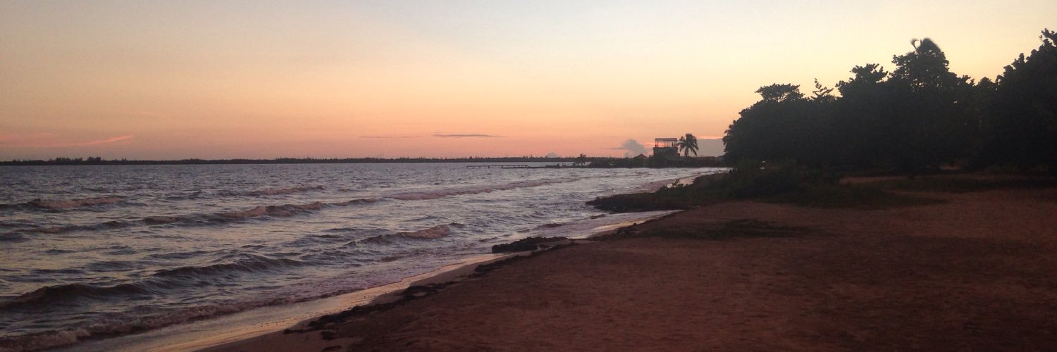 CarmenAlomar's profile banner image