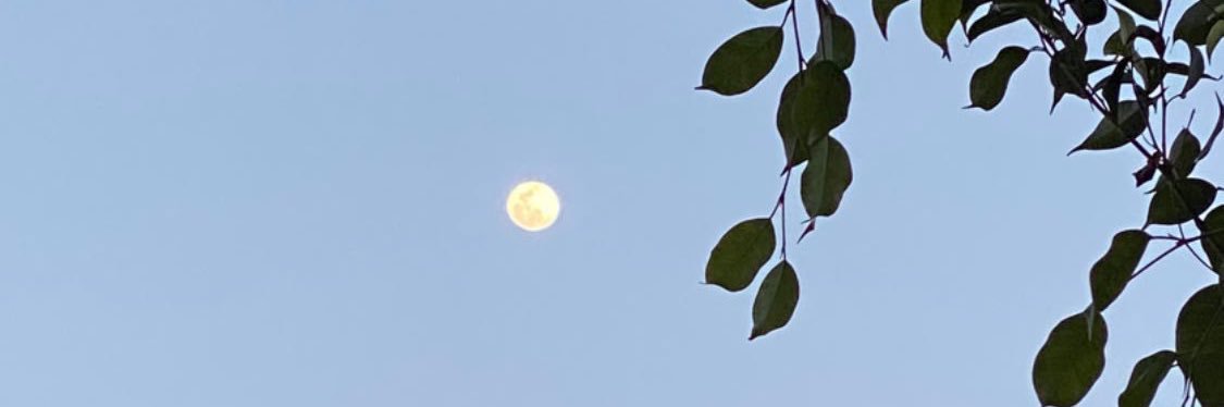 spooky_omelette's profile banner image