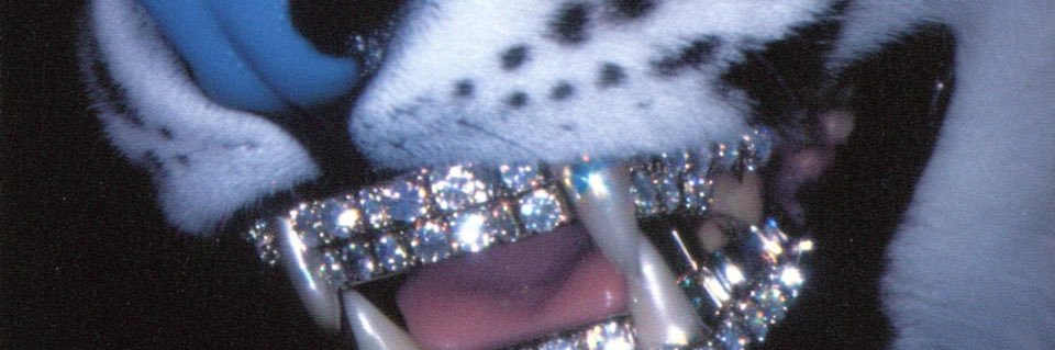 vnassty_'s profile banner image