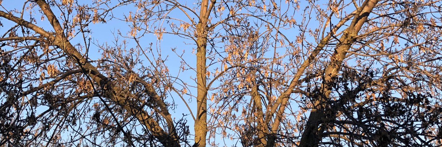 Katie-Leigh Murray banner