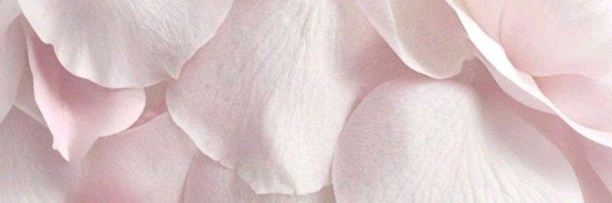 lila banner