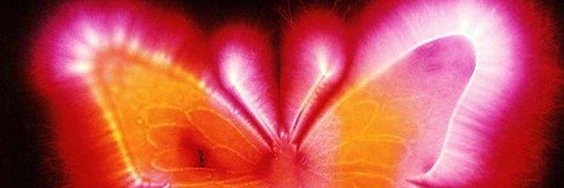 ihateruby's profile banner image