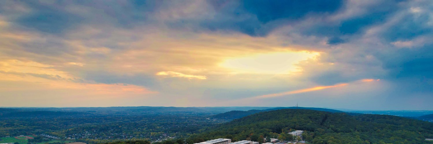 Taylor Stakes banner